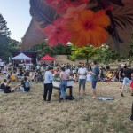 Jugendkulturfestival im Merkelpark